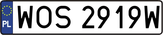 WOS2919W