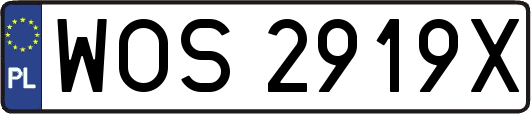 WOS2919X