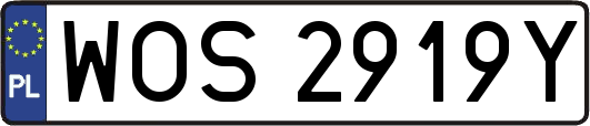 WOS2919Y
