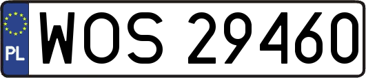 WOS29460