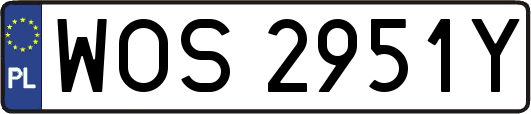 WOS2951Y