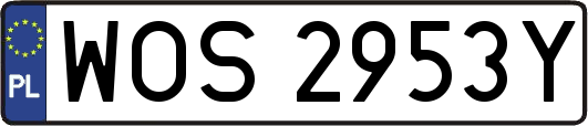 WOS2953Y