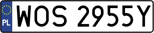 WOS2955Y
