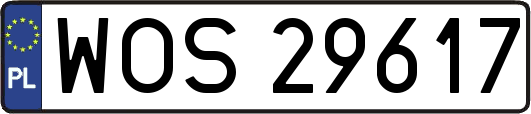 WOS29617