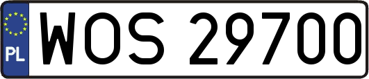 WOS29700