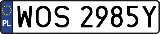 WOS2985Y