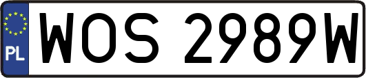 WOS2989W