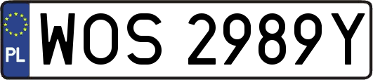 WOS2989Y