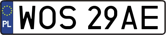 WOS29AE
