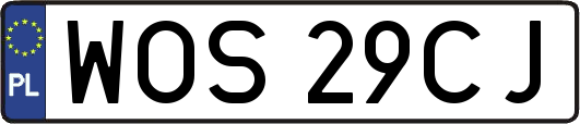 WOS29CJ