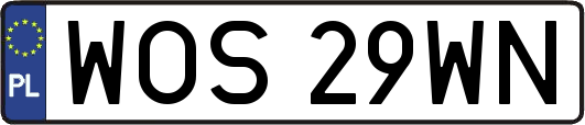 WOS29WN