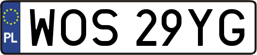 WOS29YG