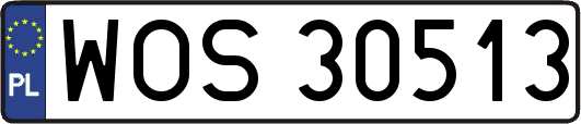 WOS30513