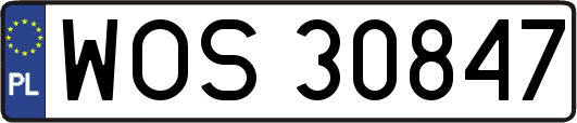 WOS30847