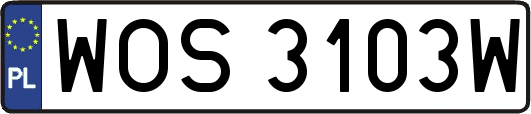 WOS3103W