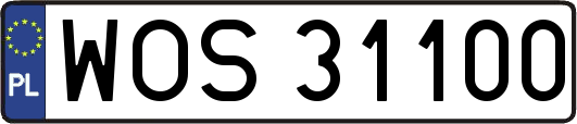 WOS31100