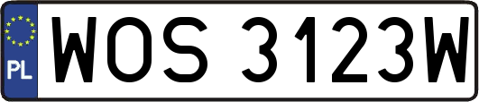 WOS3123W