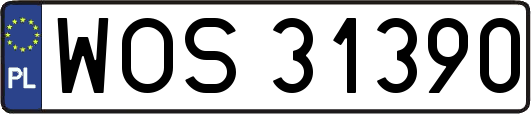 WOS31390