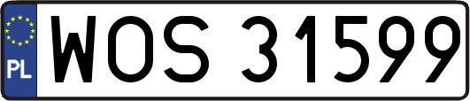 WOS31599