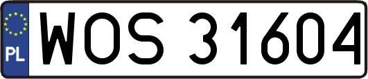 WOS31604