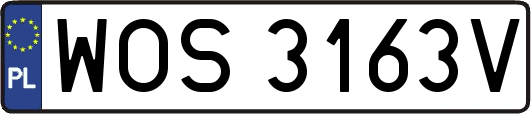 WOS3163V
