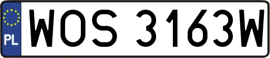 WOS3163W