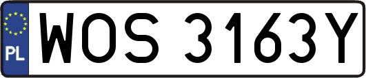 WOS3163Y