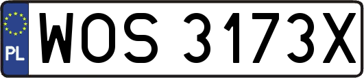 WOS3173X