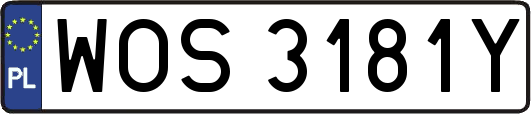 WOS3181Y