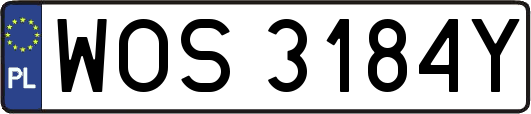 WOS3184Y