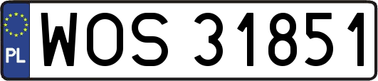 WOS31851