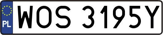 WOS3195Y