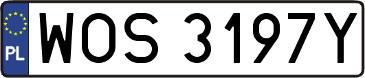 WOS3197Y