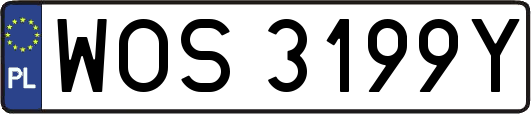 WOS3199Y