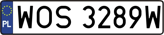 WOS3289W