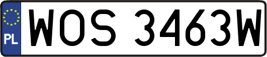 WOS3463W