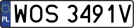 WOS3491V