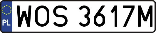 WOS3617M