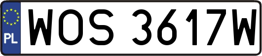 WOS3617W