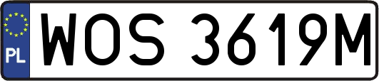 WOS3619M