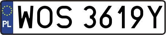 WOS3619Y