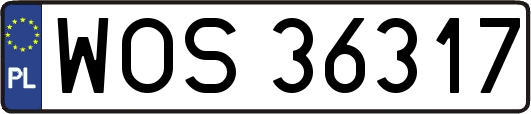 WOS36317