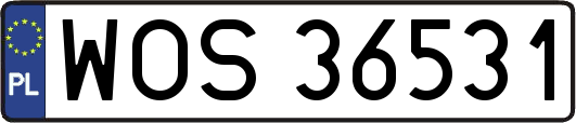 WOS36531