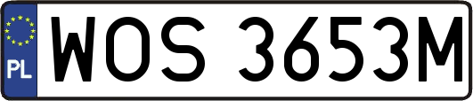 WOS3653M