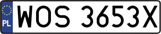 WOS3653X