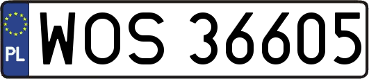 WOS36605