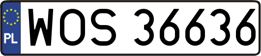 WOS36636