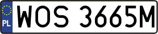 WOS3665M