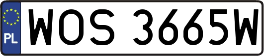 WOS3665W