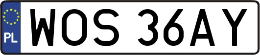 WOS36AY